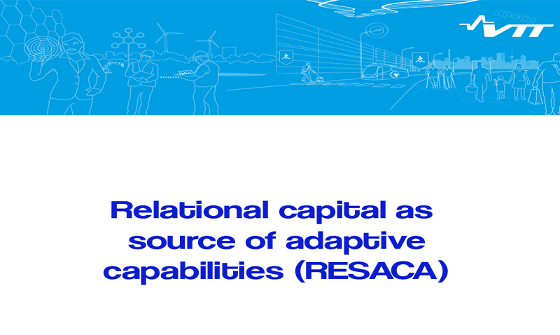 Relational and Social Assets as Shapers of Adaptive Capabilities for Innovation